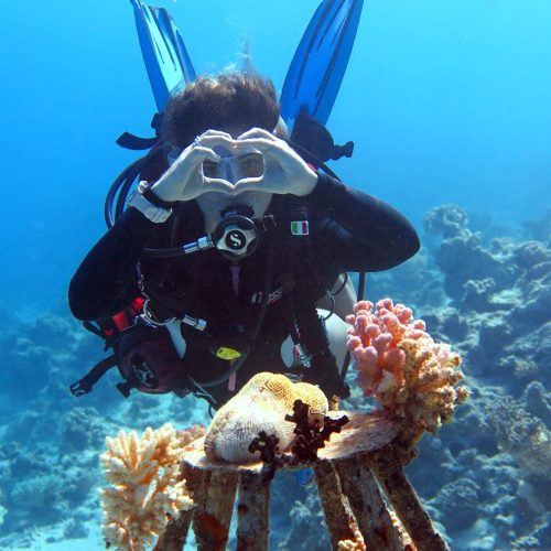 Friendly fins e coral restoration